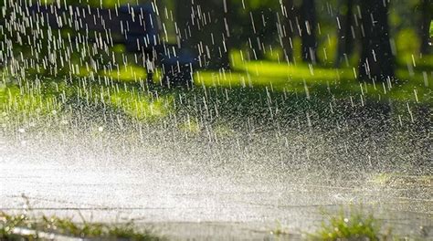 Early year rain delays D.
